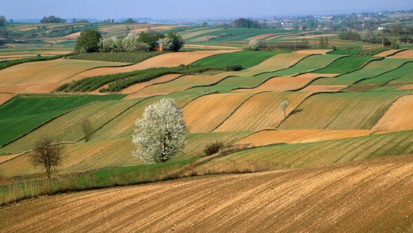 Wallpaper Land, Beautiful, Farm, Nature, View
