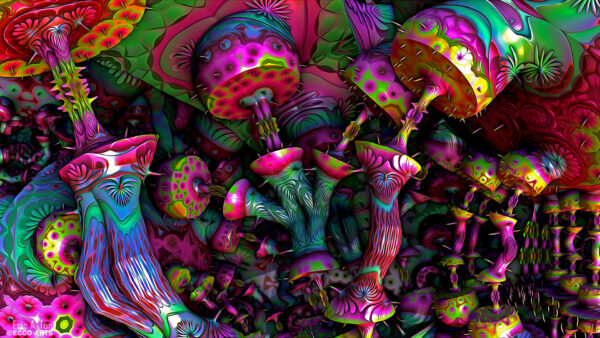 Wallpaper Trippy, Mushroom, Desktop, Colorful, Psychedelic