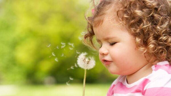 Wallpaper With, Cute, Background, Baby, Girl, Desktop, Wearing, Playing, Pink, Dress, Dandelion, Blur, Green