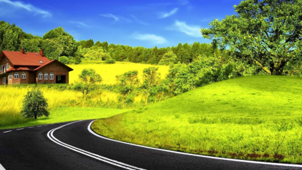 Wallpaper Trees, Sky, Background, Field, Green, Nature, Road, Grass, Between, Blue