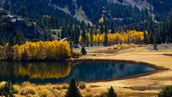 Wallpaper Trees, Nature, Mountains, And, Lake, Autumn, Surrounded