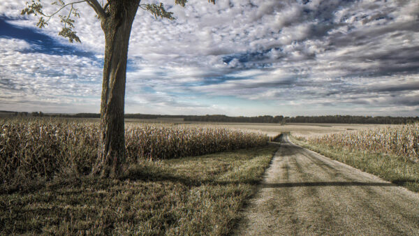 Wallpaper Mobile, Field, Road, Cloudy, Illinois, Nature, Horizon, Desktop, Sky, Between, Under