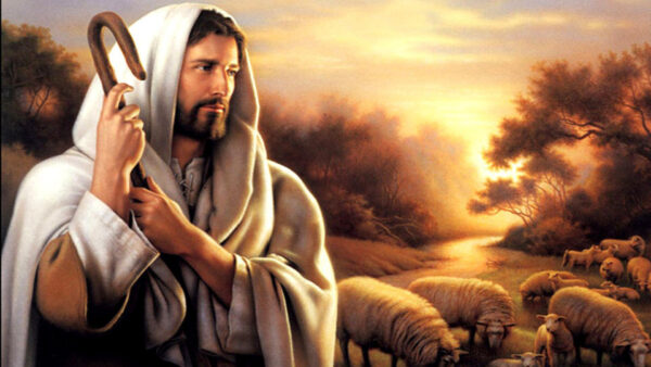 Wallpaper Sheeps, Desktop, Jesus, With