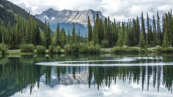 Wallpaper Forest, Reflection, Scenery, Landscape, Lake, View, Mobile, Green, Desktop, Mountains, Trees