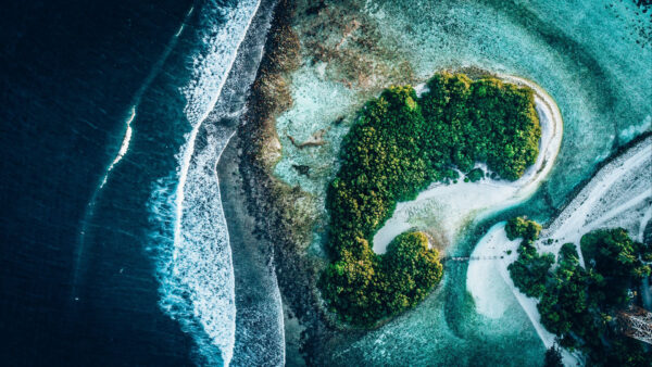 Wallpaper Ocean, View, Sand, Islands, White, Aerial, Forest, Trees