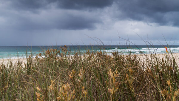 Wallpaper Mobile, Ocean, Sky, Sand, Clouds, Blue, Under, Closeup, White, Grass, View, Landscape, Desktop, Nature