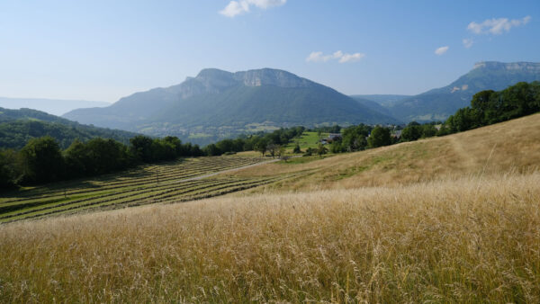 Wallpaper Mountains, Farm, Dry, Greenery, Desktop, Sky, Background, Mobile, Nature, Blue, Grass, Field