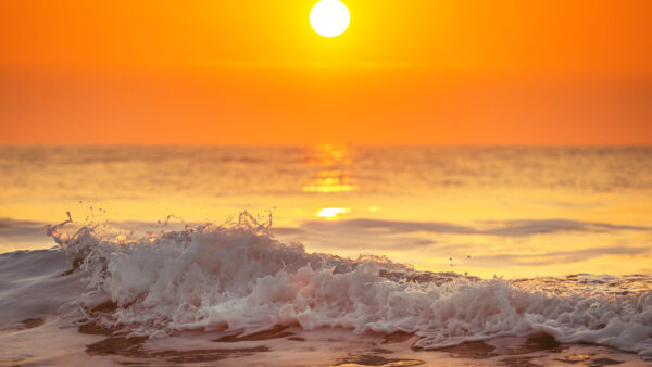 Wallpaper View, Water, Ocean, Reflection, During, Sunset, Closeup, Waves, Foam