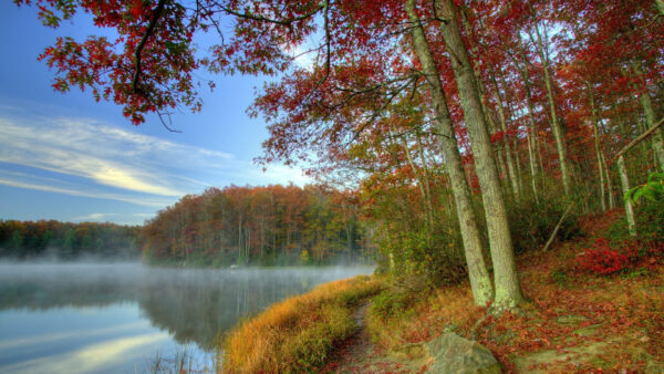 Wallpaper Scenery, Colorful, River, Sky, Under, With, Autumn, Leafed, Landscape, Reflection, Fog, Trees, Forest, View, Blue