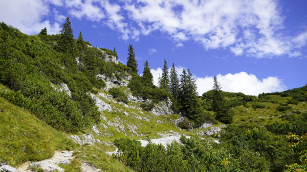 Wallpaper Clouds, White, Plants, Nature, Slope, Under, Blue, Trees, Greenery, Mountains, Bushes, Sky