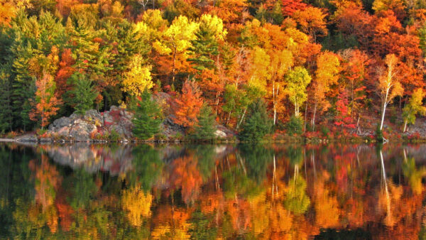 Wallpaper Autumn, Green, Trees, Red, River, Leaves, Yellow, Reflection, Orange