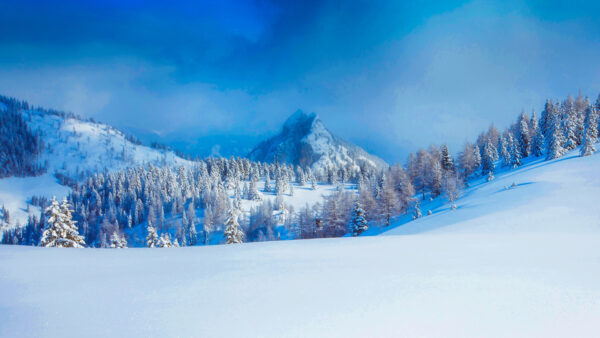 Wallpaper Field, Beautiful, Covered, Mountains, Blue, Winter, Under, Trees, Snow, Sky
