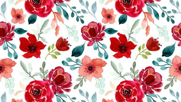 Wallpaper Floral, Flowers, Leaves, Red, Orange, Rose