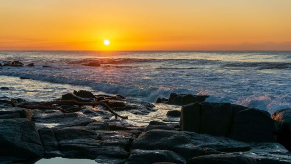 Wallpaper Branch, Ocean, Silhouette, Background, Desktop, Waves, Mobile, Sunrise, Nature, Water, Tree, During, Stones