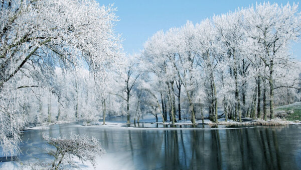 Wallpaper Reflection, Lake, Beautiful, Winter, Forest, Under, Nature, Trees, Blue, Sky