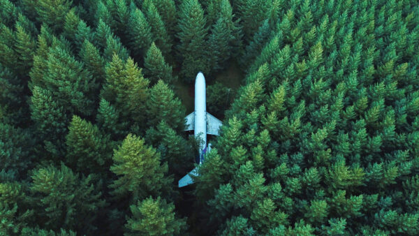 Wallpaper Surrounded, Forest, Plane