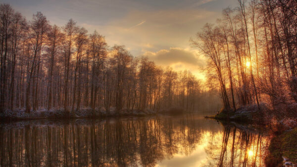 Wallpaper Through, Opposite, Sunlight, Lake, Trees, During, Dry, Passing, Desktop, Sunset, Time, Nature, Landscape, Mobile