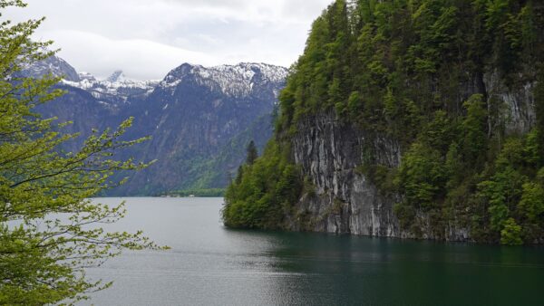 Wallpaper Desktop, Green, Calm, Branches, Water, Nature, Body, Mountains, Snow, Mobile, Tree