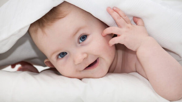 Wallpaper Towel, Covered, Baby, Down, White, Desktop, Cute, With, Bed, Eyes, Grey, Lying