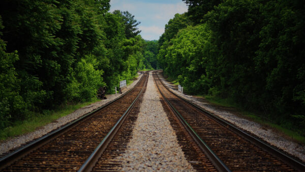 Wallpaper Trees, Desktop, Blue, Nature, Track, Under, Sky, Green, Railway, Forest, Between, Mobile