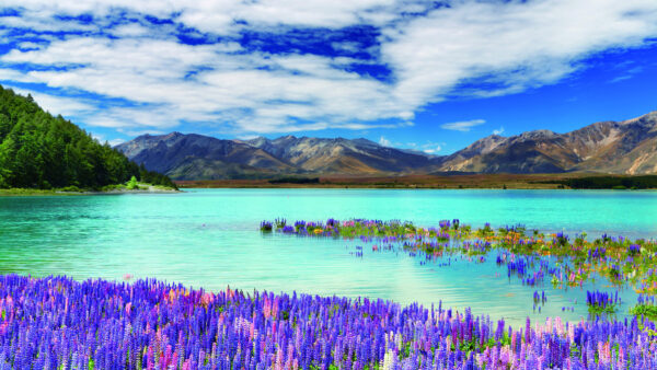 Wallpaper Beautiful, Lavender, View, White, Mobile, Calm, Landscape, Body, Clouds, Sky, Nature, Mountains, Desktop, Blue, Flowers, Water