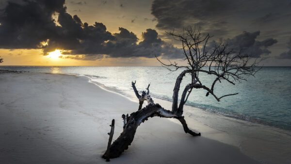 Wallpaper Sky, Wood, Waves, Sand, Blue, Clouds, Black, Sunset, During, Beach, Nature, Under, Ocean