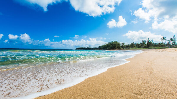 Wallpaper Green, Sand, Mobile, Trees, Sky, Under, Desktop, Blue, Beautiful, Ocean, Clouds, White, Waves, Landscape, View, Beach