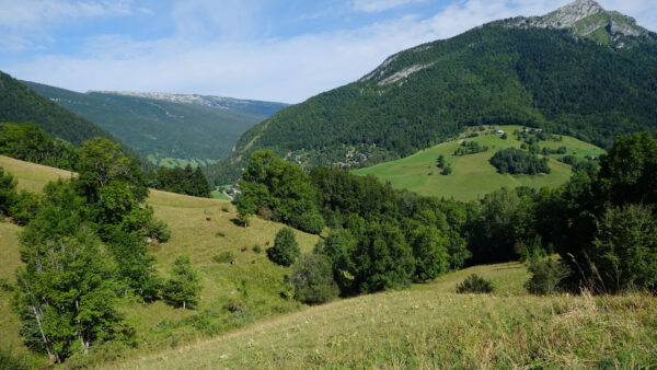 Wallpaper Mobile, Desktop, Nature, Grass, Green, Trees, Background, Hills, Valley, Blue, Sky