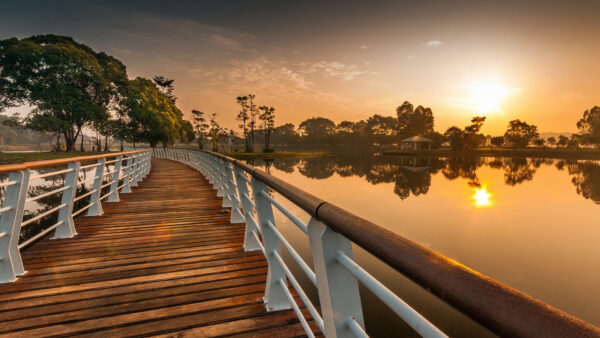 Wallpaper Boardwalk, And, Between, Wood, View, Green, Nature, Sunset, During, Reflection, Trees, Water, Dock, River, Landscape