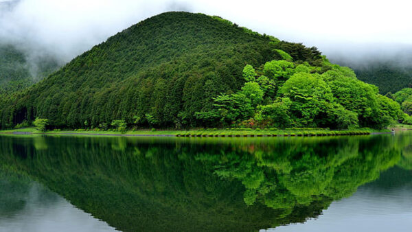 Wallpaper View, Reflection, Nature, Water, Landscape, Beautiful, Mountains, Green, Trees
