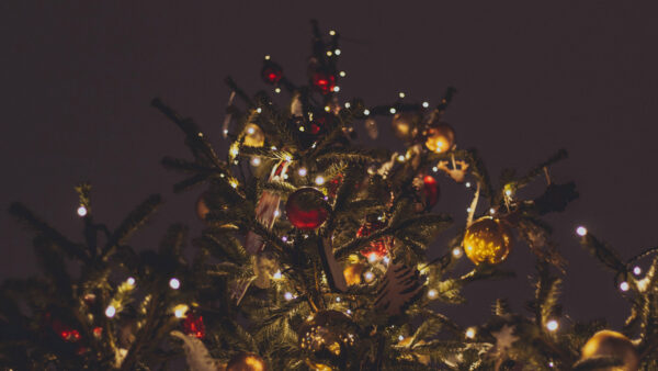 Wallpaper Spruce, Lights, Christmas, Balls, Mobile, Nighttime, During, Desktop, Tree, Red, Decorated