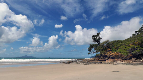 Wallpaper Nature, Landscape, Sky, Waves, Beach, Bushes, Under, During, Daytime, Trees, Sand, Ocean, Mobile, View, Clouds, Desktop, Blue