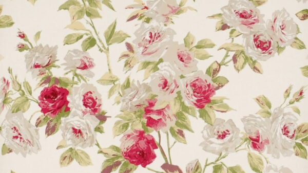 Wallpaper Roses, Floral, With, Pink, Leaves, White