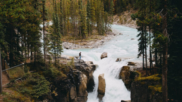 Wallpaper Forest, Trees, Mountain, Nature, River, Aerial, View, Waterfall