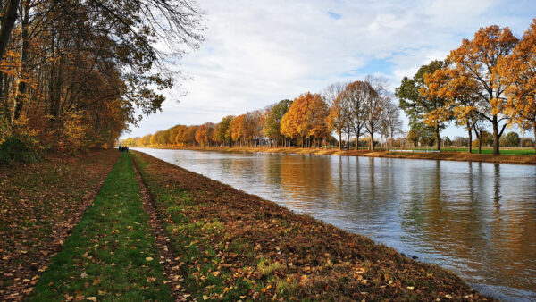 Wallpaper Trees, River, Under, Autumn, Green, Reflection, And, Blue, Water, Grass, Sky, Between, White, Field, Clouds, Fall, Yellow