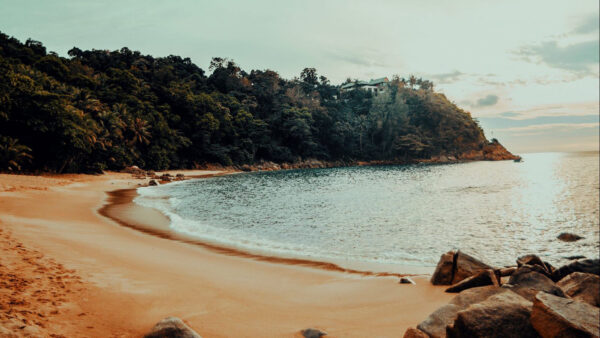 Wallpaper Trees, Stones, Coast, Sand, Nature, Sky, Bushes, Sea, Beach, Blue