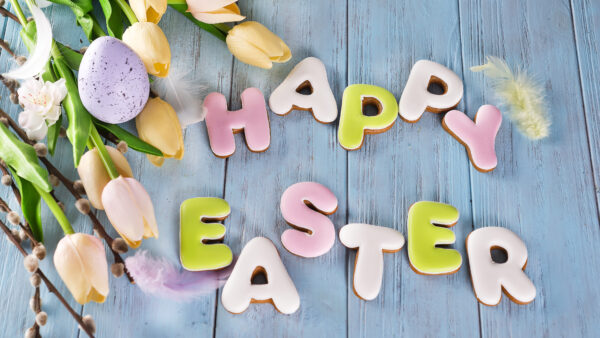 Wallpaper Tulip, Easter, Colorful, Background, Flowers, Cookies, Wood, Egg, Happy