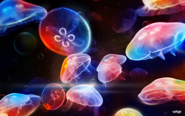 Wallpaper Jellyfishes, Underwater