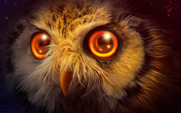 Wallpaper Owl, Mystic