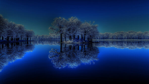 Wallpaper Under, Starry, Trees, Body, Nature, Reflection, Water, Nighttime, During, Winter, Sky