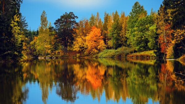 Wallpaper During, With, Fall, Trees, And, Blue, Finland, Nature, Lake, Sky, Reflection