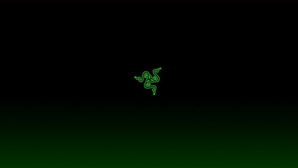 Wallpaper Logo, Desktop, Razer, Black, Background, Green