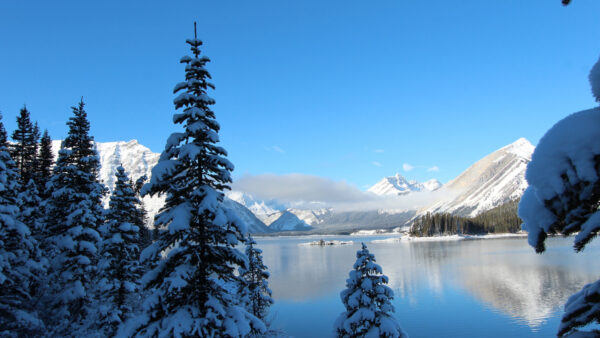 Wallpaper Between, Snow, Trees, Nature, Covered, Desktop, Lake, Mobile, And, Mountains