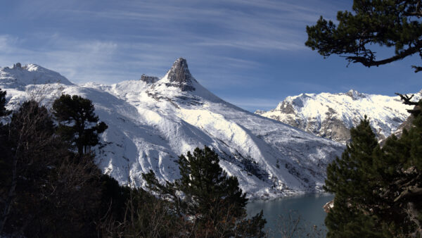Wallpaper Peak, Mobile, Desktop, Pine, Trees, Landscape, And, Covered, Winter, Snow, Mountain