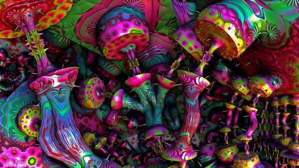 Wallpaper Mushroom, Trippy, Colorful