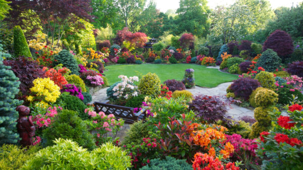 Wallpaper Desktop, Beautiful, Garden, Colorful, With, Flowers