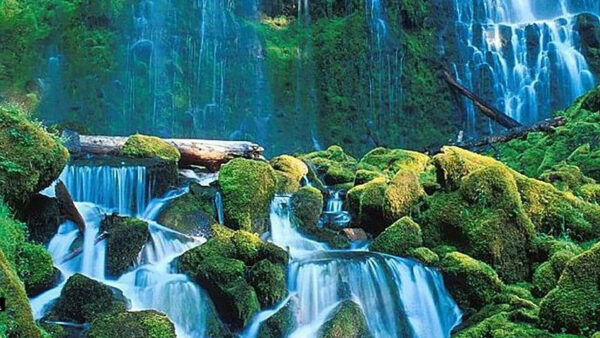 Wallpaper Covered, Stream, Background, Waterfalls, Waterfall, Rock, Desktop, Between, Algae