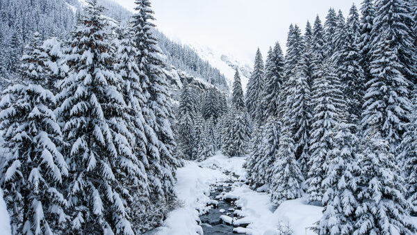 Wallpaper Winter, Trees, Frozen, Snow, Background, Mountain, Beautiful, Desktop, Scenery, Covered, Nature, River, Mobile