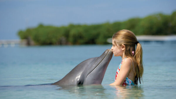 Wallpaper Kissing, Inside, Dolphin, Standing, Desktop, Water, Little, Girl, Cute