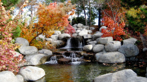Wallpaper Leaves, White, Between, And, Stones, Rock, Waterfall, Surrounded, Colorful, Plants, Trees, Nature